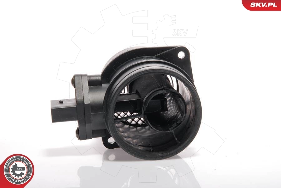 Mass Air Flow Sensor